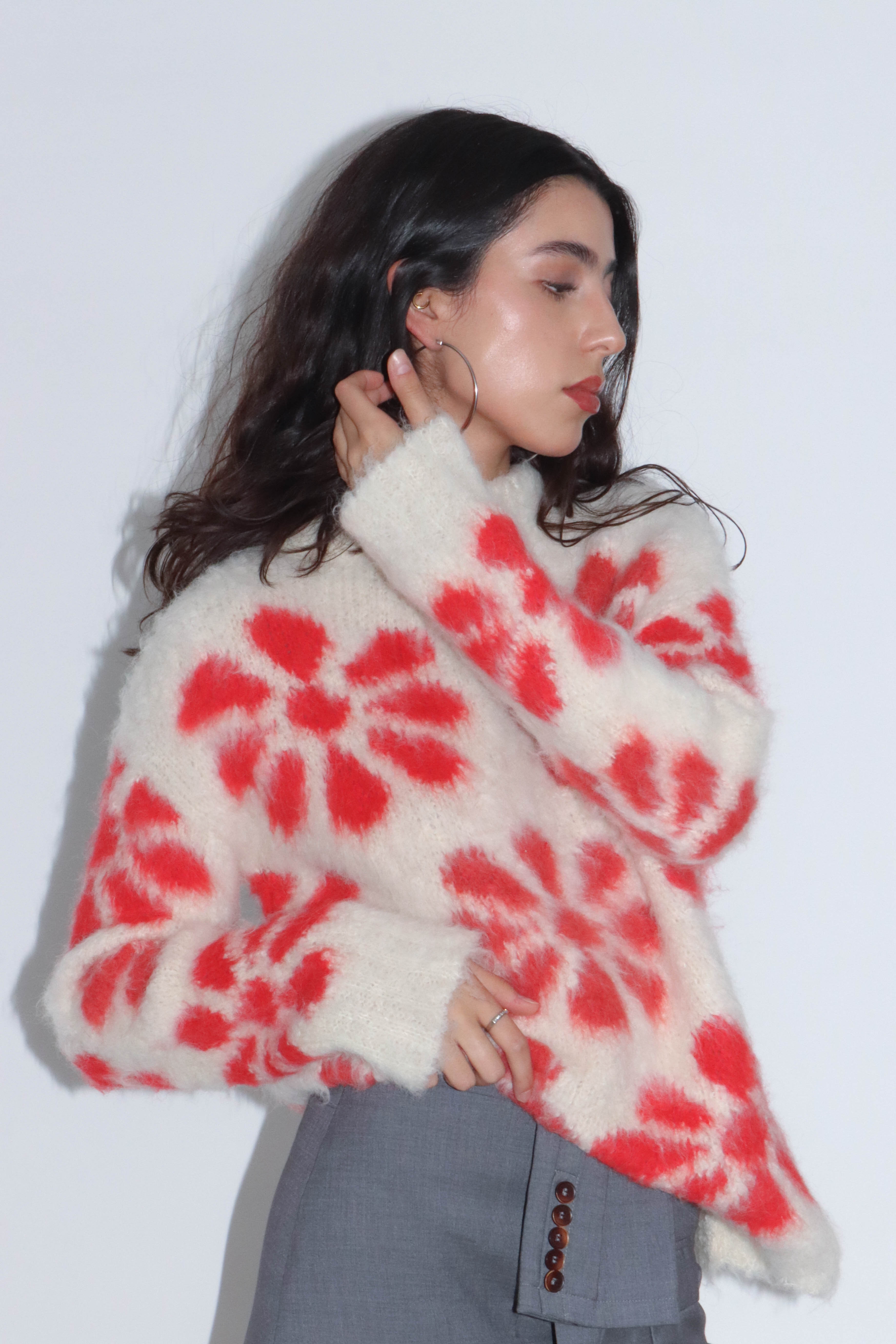 Sesion ferni lannita-049